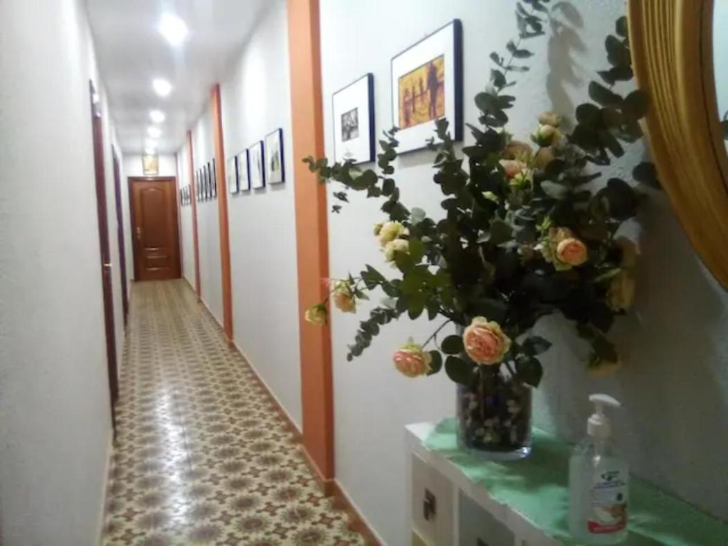 Las Golondrinas habitación en piso céntrico para una o dos personas Saragoça Exterior foto